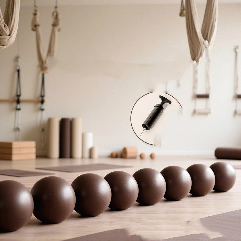 20cm Pilates Ball Thickened Explosion-proof Yoga Ball